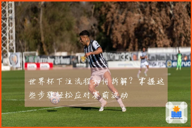 世界杯下注流程如何拆解？掌握这些步骤轻松应对赛前波动
