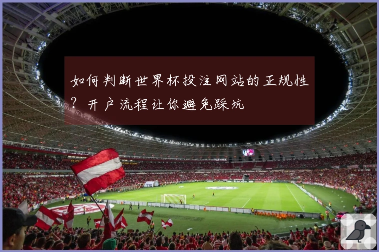 如何判断世界杯投注网站的正规性？开户流程让你避免踩坑