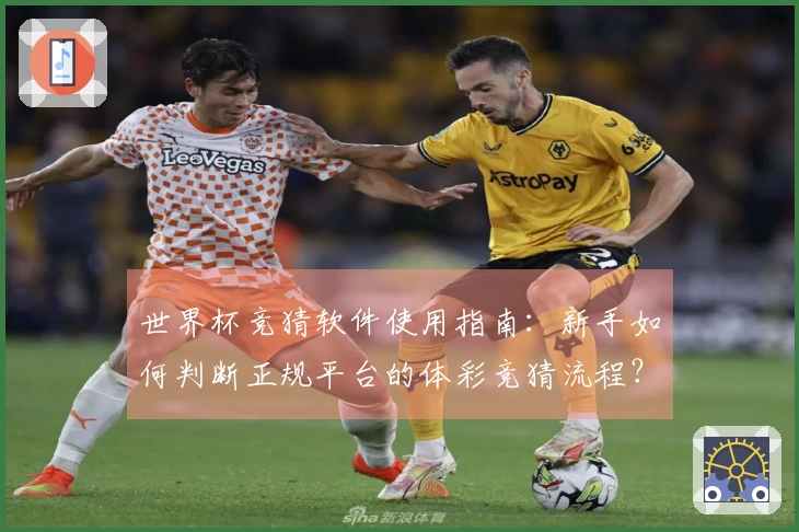 世界杯竞猜软件使用指南:新手如何判断正规平台的体彩竞猜流程?