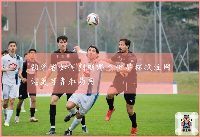 初学者如何判断哪个世界杯投注网站更可靠和易用