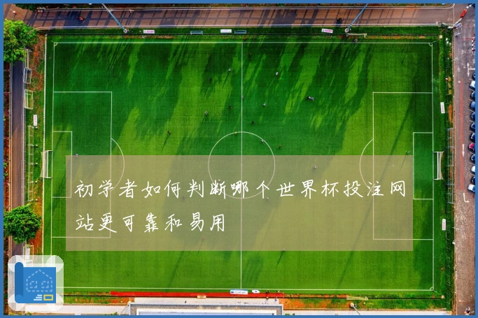 初学者如何判断哪个世界杯投注网站更可靠和易用