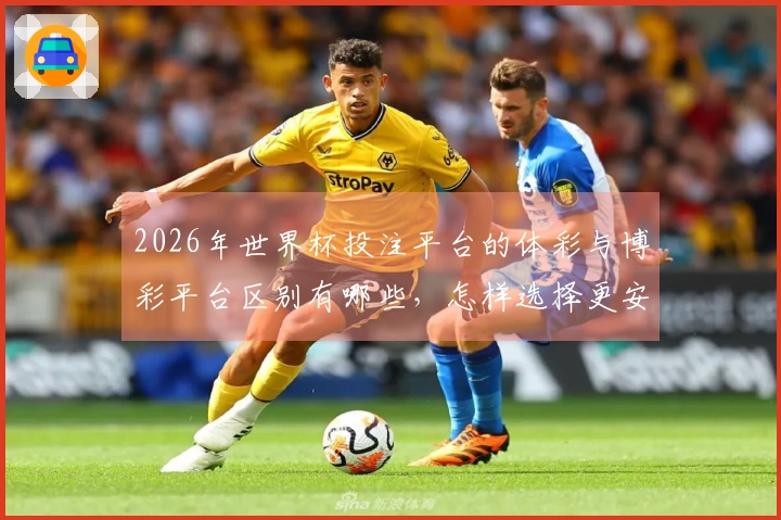 2026年世界杯投注平台的体彩与博彩平台区别有哪些，怎样选择更安全？